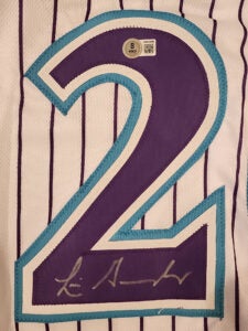 Luis Gonzalez Autographed Pinstripe Custom Jersey v1