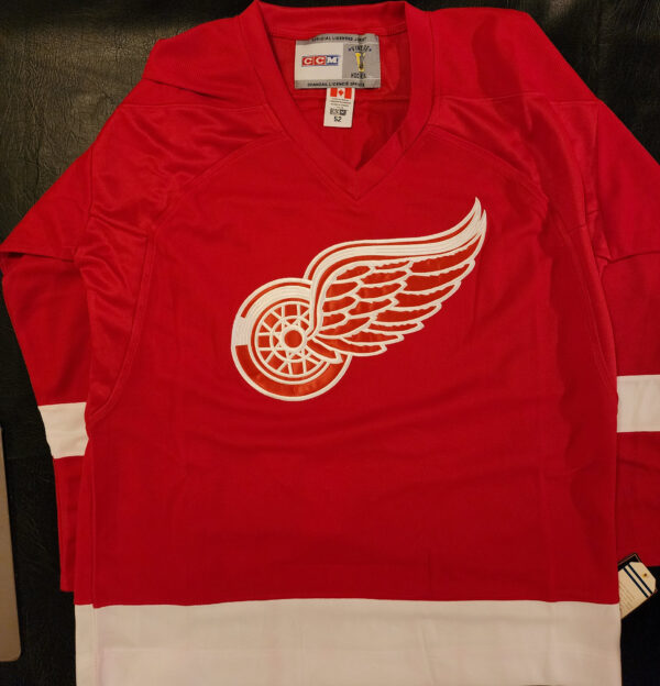 Brett Hull Autographed Red Wings Jersey 5